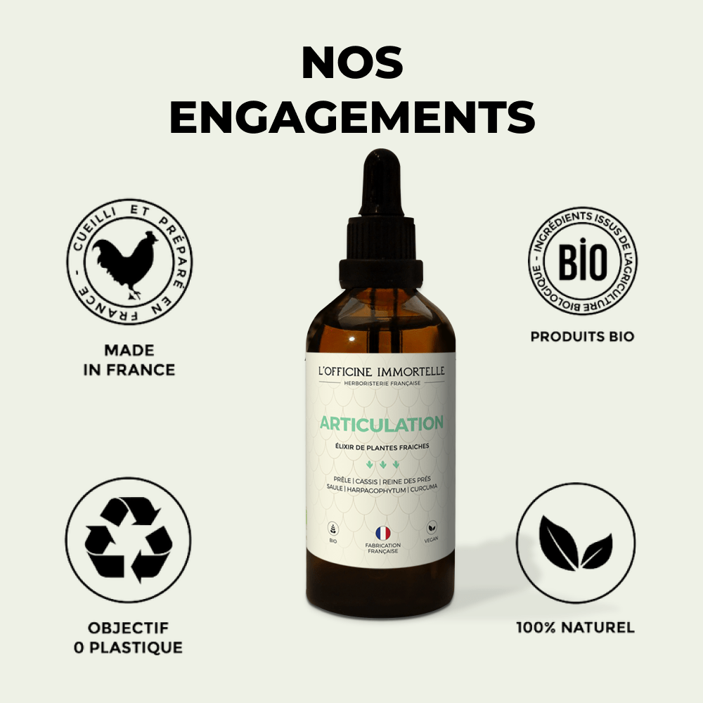 Elixir - Articulation - Officine Immortelle