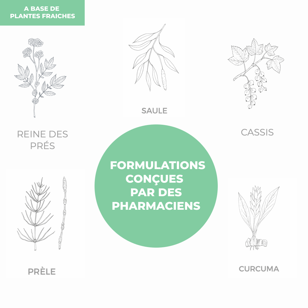 Elixir - Articulation - Officine Immortelle