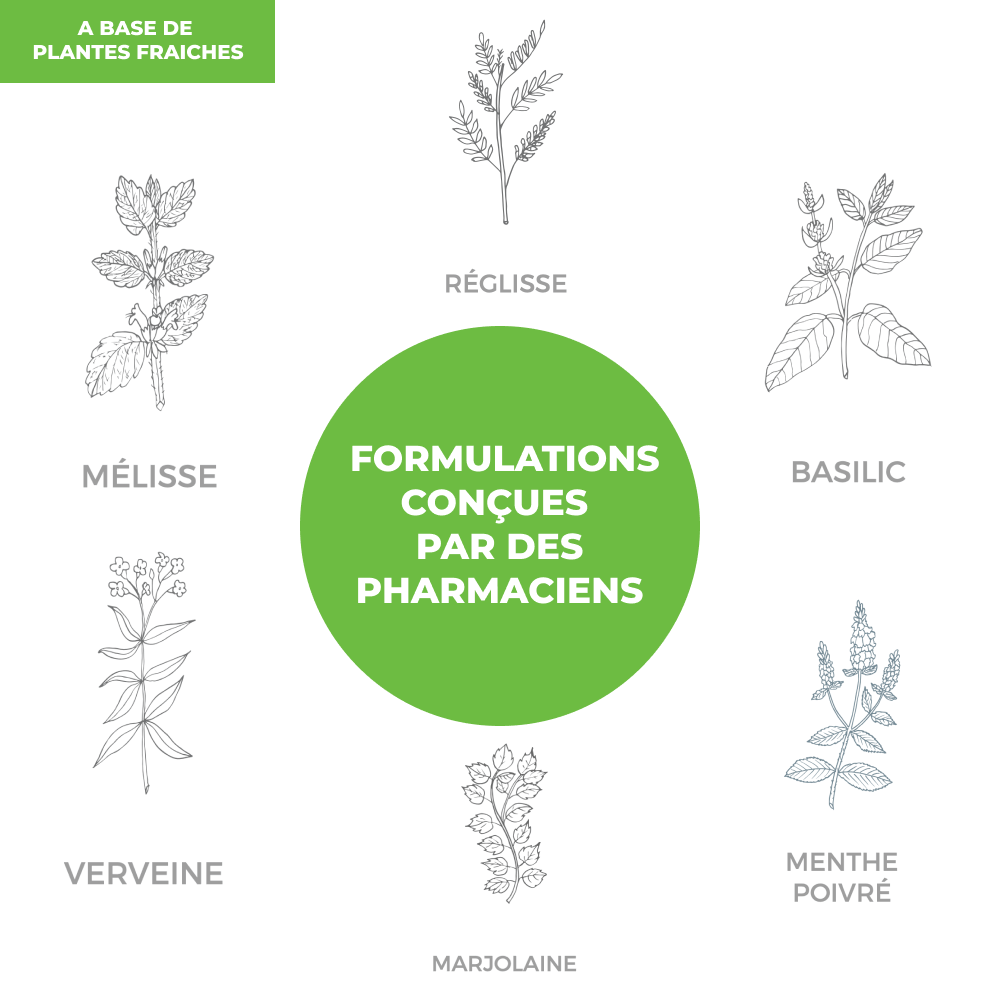 Elixir - Digestion - Officine Immortelle