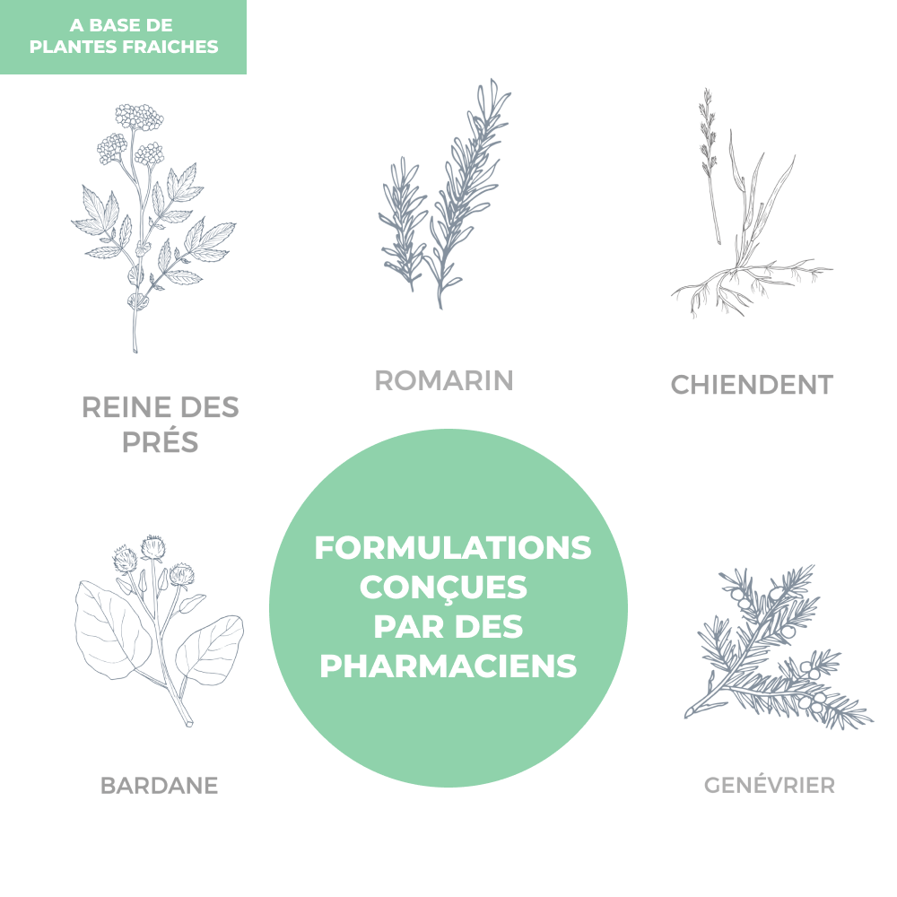 Tisane - Articulation - Officine Immortelle