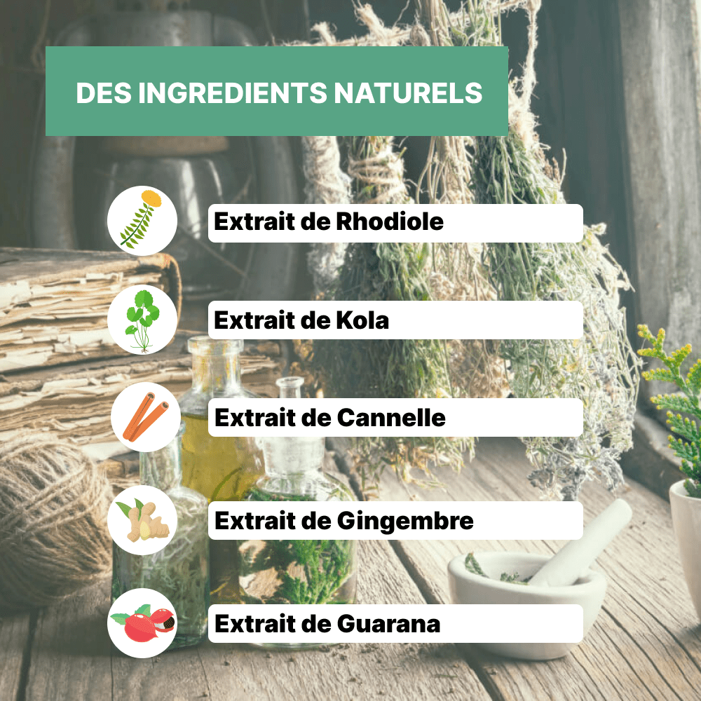 Elixir - Energie - Officine Immortelle