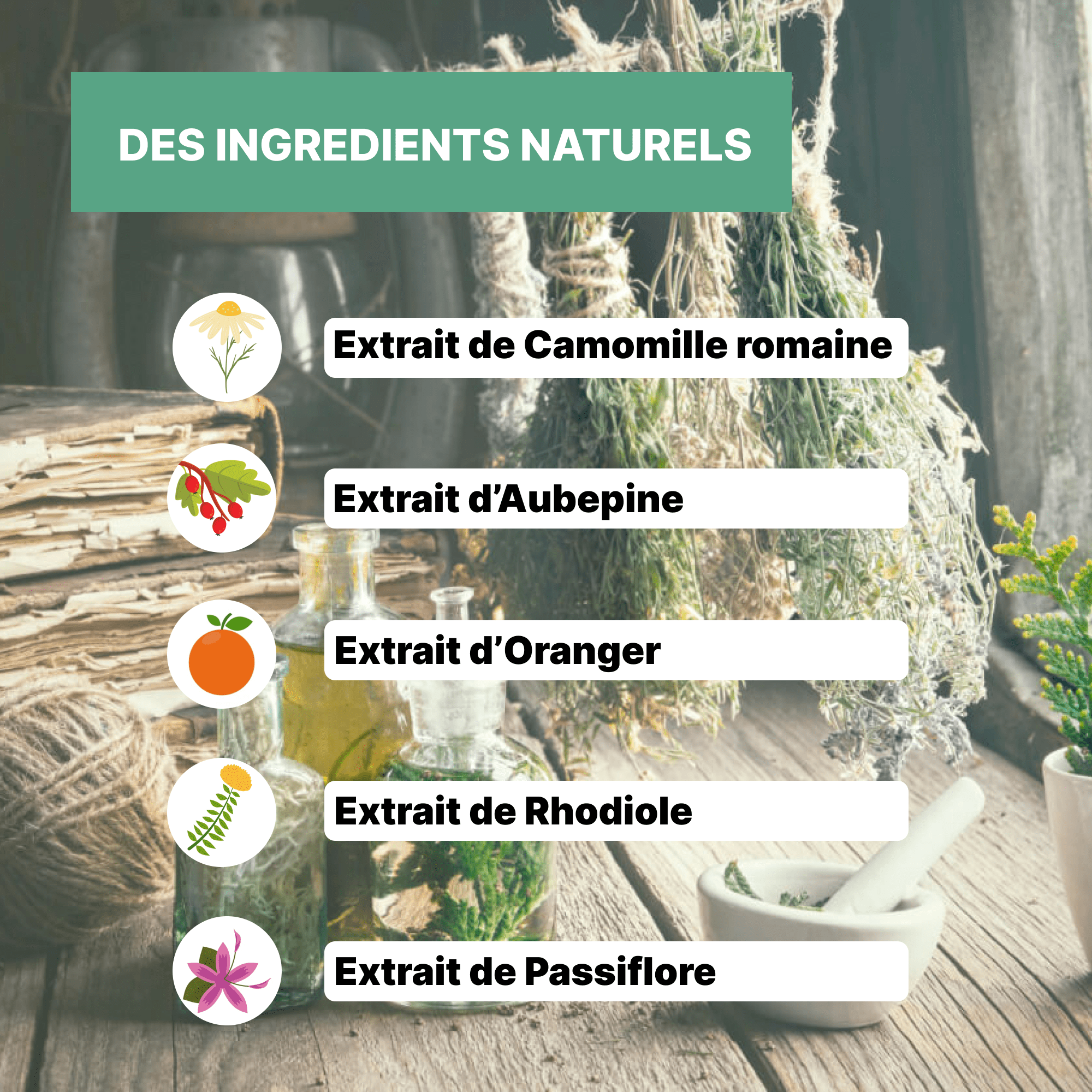 Elixir - Stress - Officine Immortelle