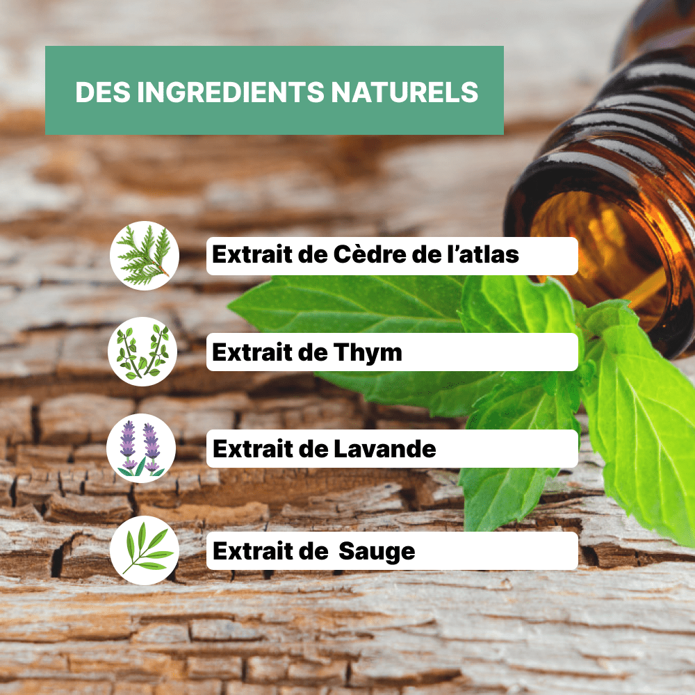 Huile de soin Cheveux - Officine Immortelle