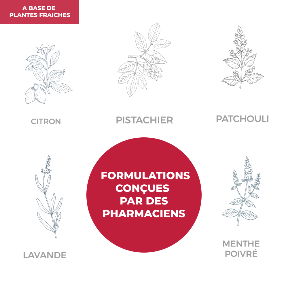 Complexe d'Huiles Essentielles - Circulation - Officine Immortelle