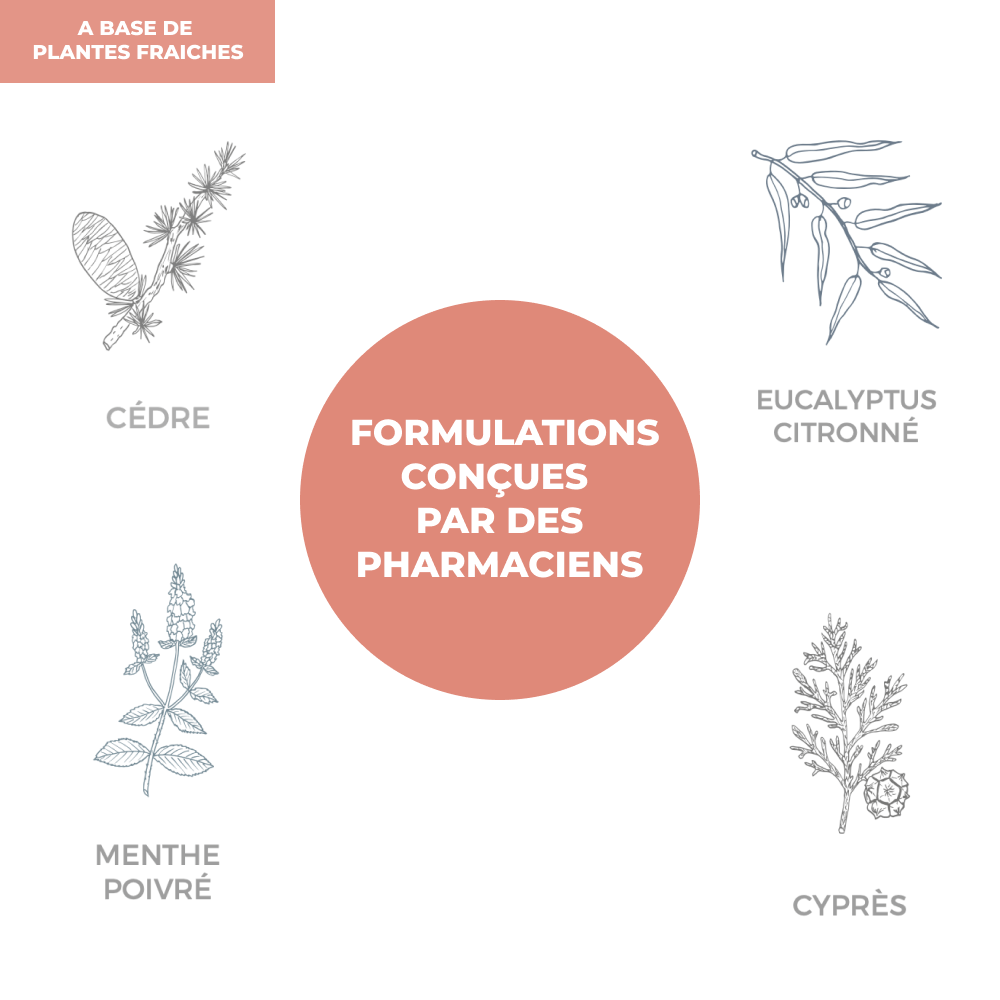 Complexe d'Huiles Essentielles - Raffermissante - Officine Immortelle