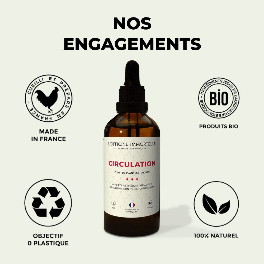 Elixir - Circulation - Officine Immortelle