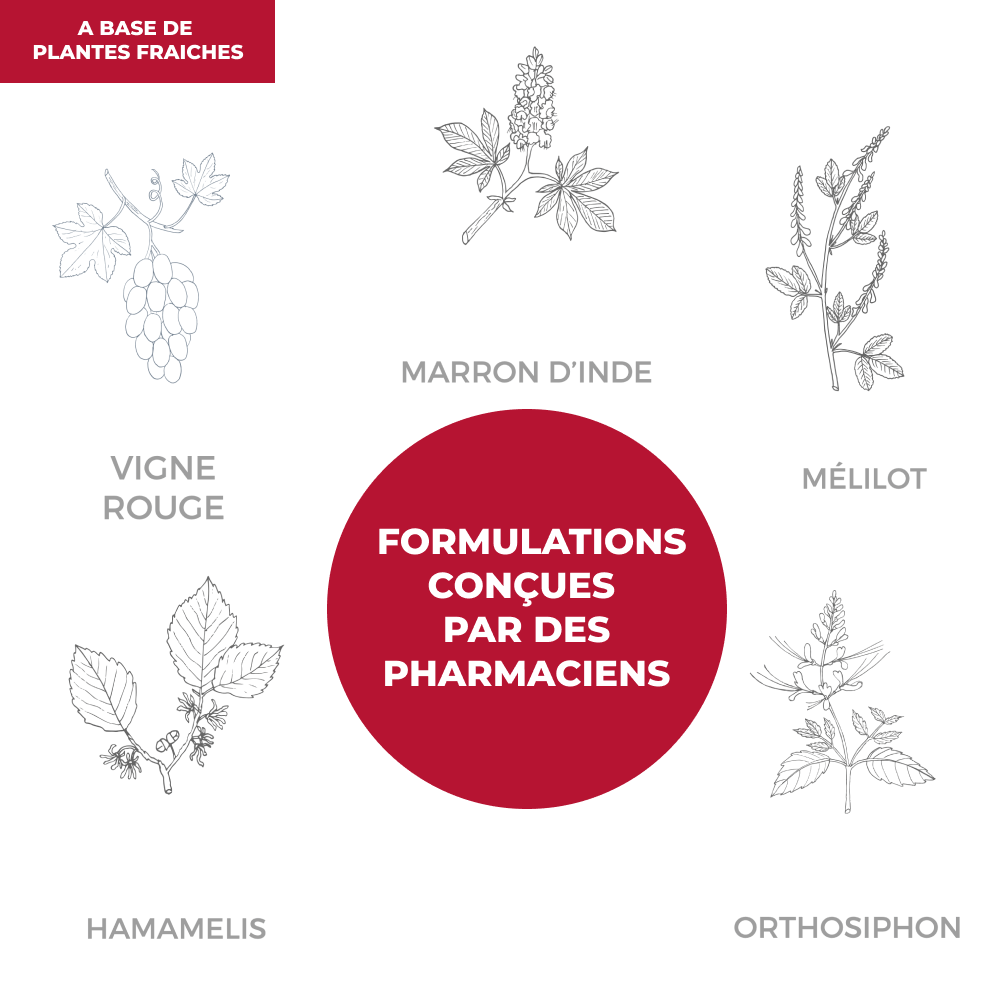 Elixir - Circulation - Officine Immortelle