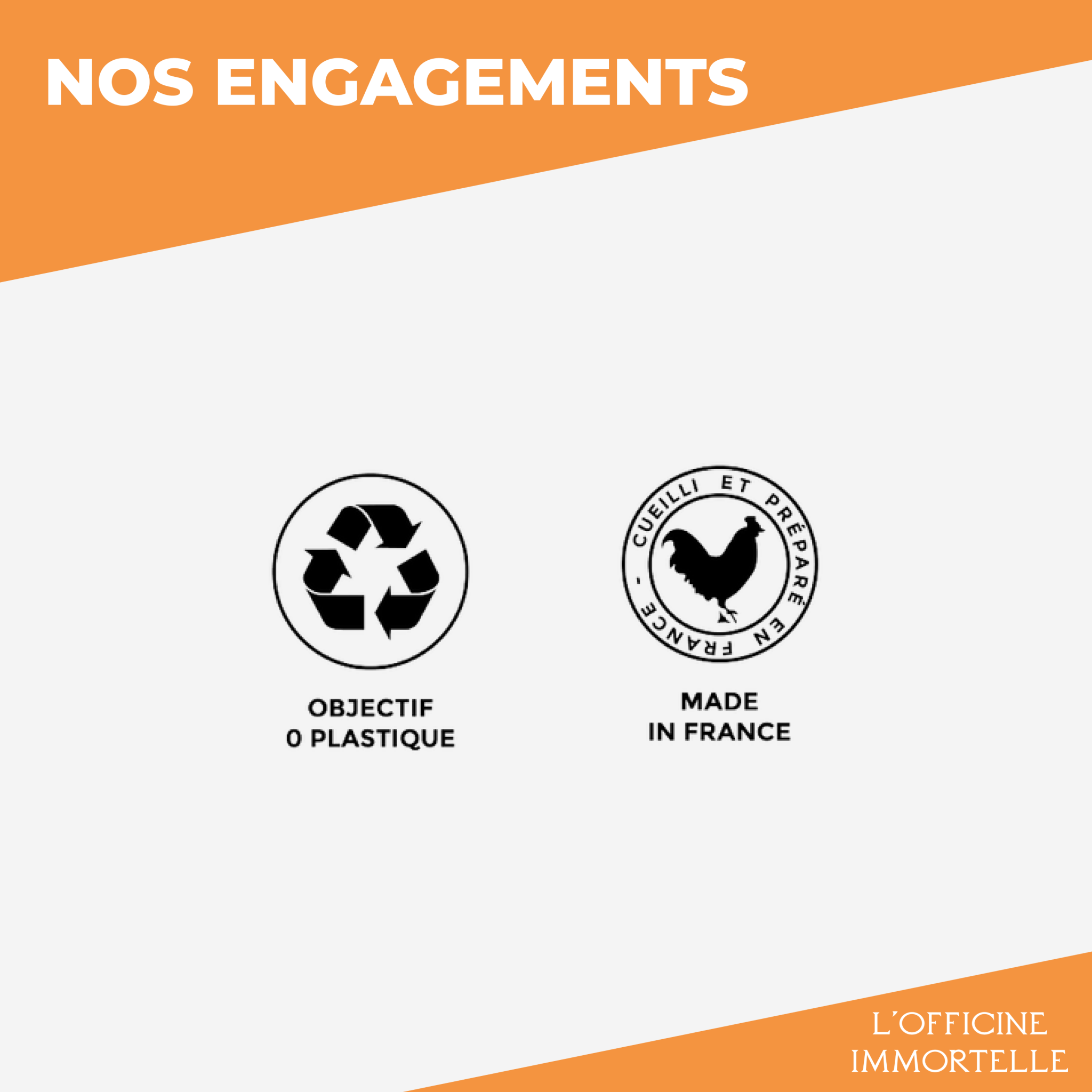 Multivitamines - Officine Immortelle