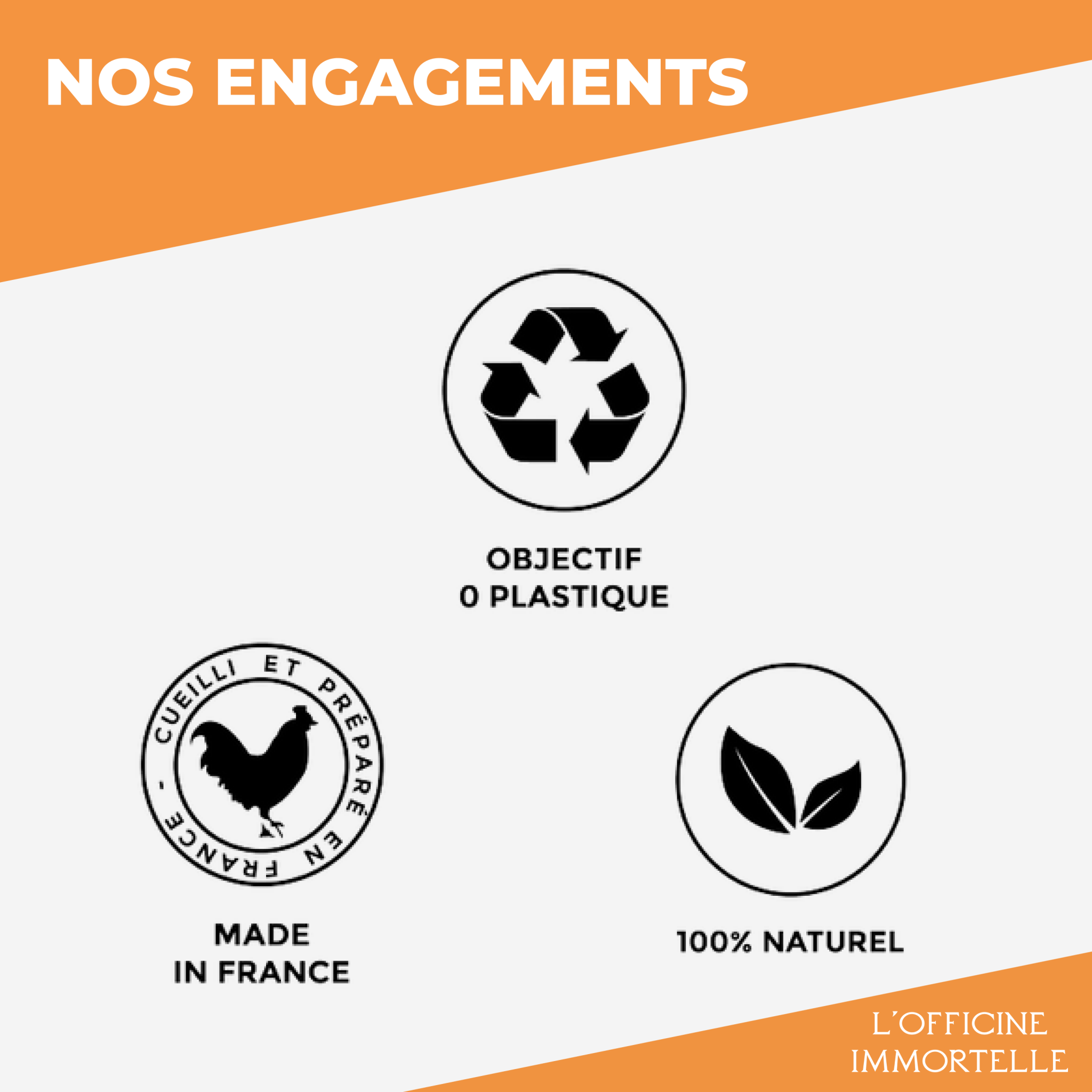 Spiruline Bio & Française - Officine Immortelle