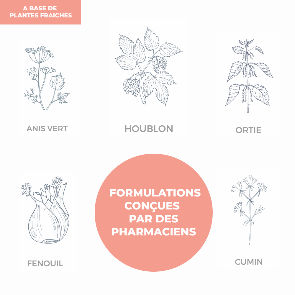 Tisane - Allaitement - Officine Immortelle