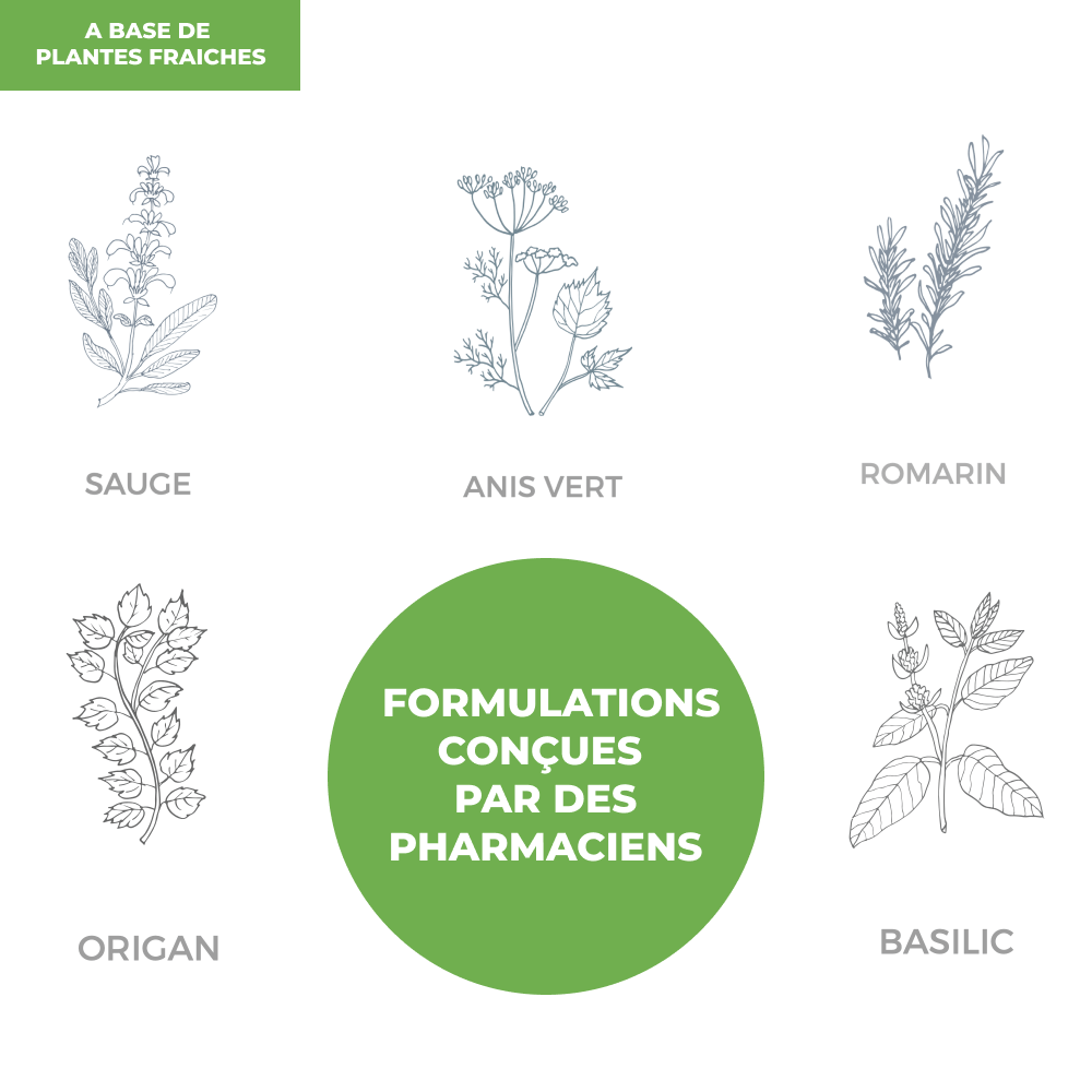 Tisane - Digestion - Officine Immortelle