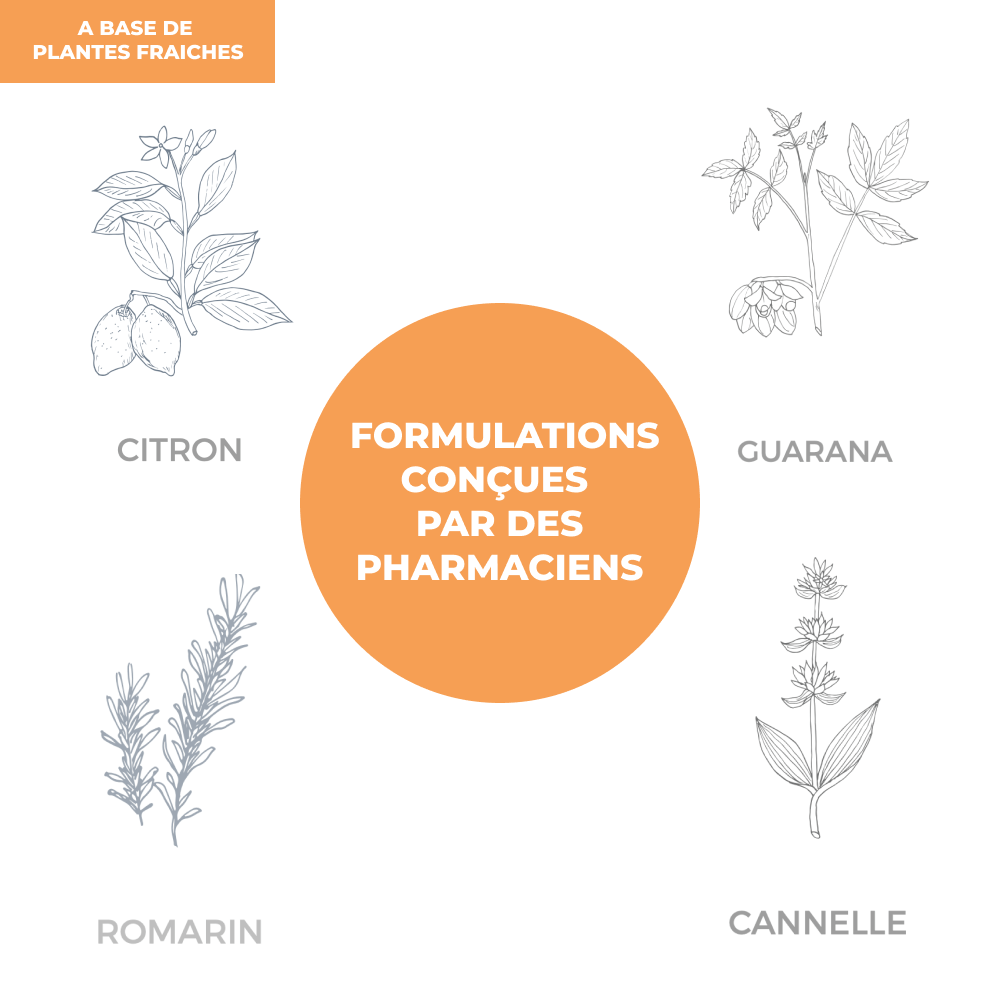 Tisane - Energie - Officine Immortelle