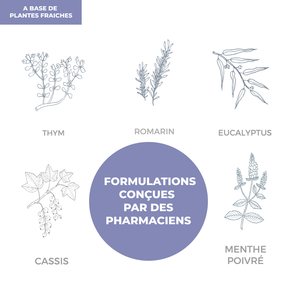 Tisane - Immunité - Officine Immortelle