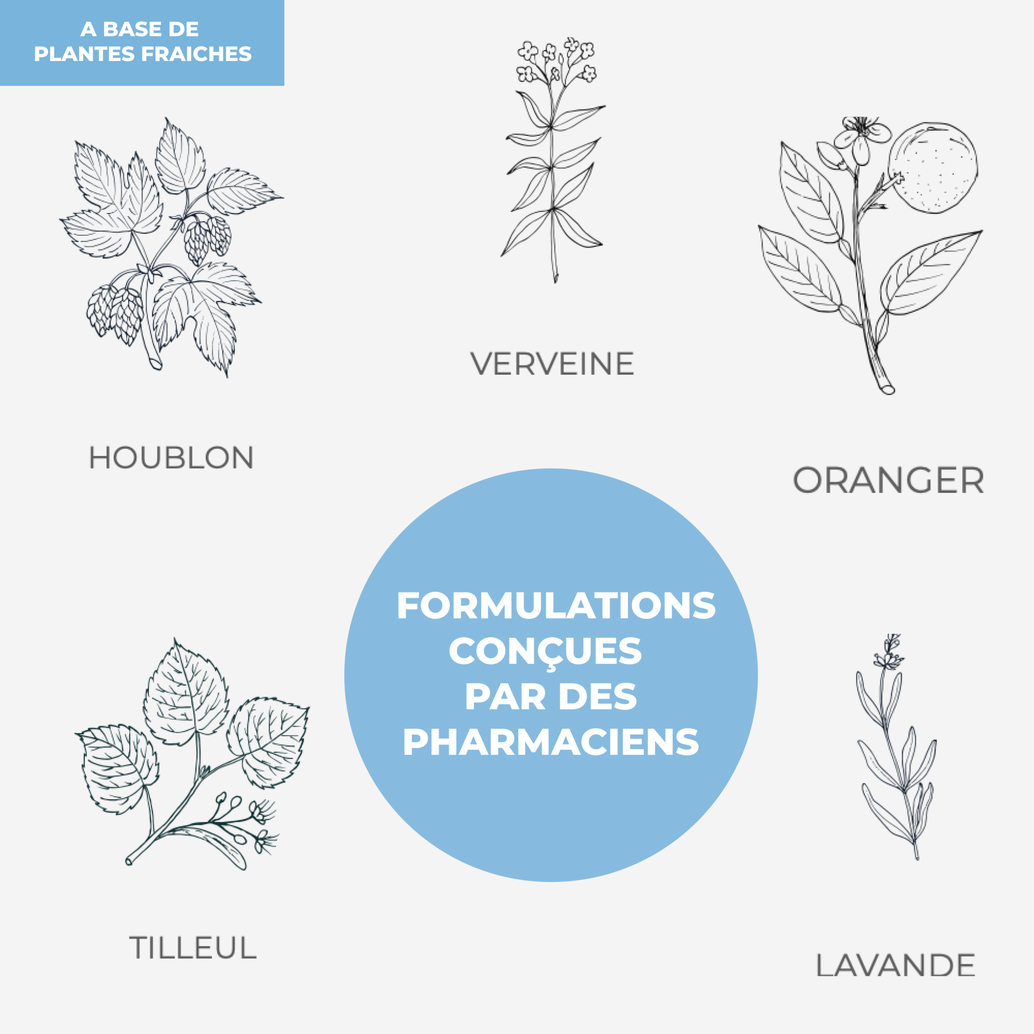 Tisane - Stress - Officine Immortelle